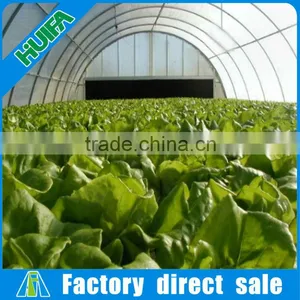 Plastic Greenhouse Vegetable Grow Tent thumbnail-3