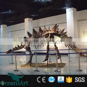 OAV3126 1:1 Dinosaur Skeleton Model thumbnail-5