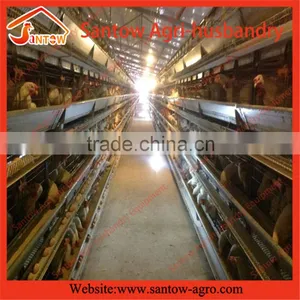 Stable Steel Structure Professional Chicken Egg Layer Cage Egg Layer House Design thumbnail-5