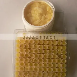 Bee Royal Jelly Powder thumbnail-4