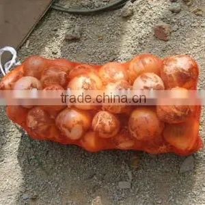 Fresh Onions thumbnail-1