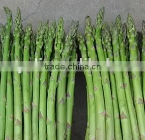 Canned Green Asparagus Spears Normal Lid thumbnail-4
