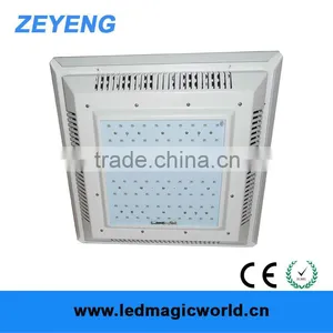 Professional Gas Station Led Canopy Light Fixtures thumbnail-1