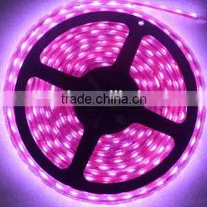 10M Good Cheap Price 5630 / 5050 Led Strip Rgb Low Voltage 12V Non Waterproof Led Flexible Strip Light thumbnail-1