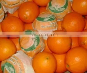 Fresh Navel Orange thumbnail-1