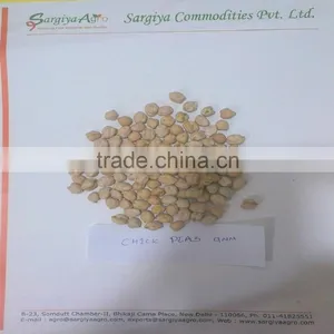 Exported Top Quality Indian Kabuli Chick Peas Garbanzo Beans | thumbnail-1