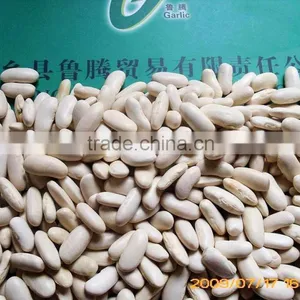 Best Factory Price of White Kidney Beans thumbnail-3