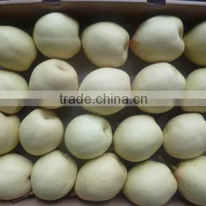 PEAR thumbnail-5