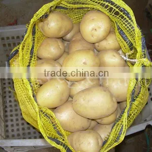 Fresh Holland Potato(new Crop) thumbnail-1