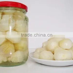 Pickled Onion thumbnail-1
