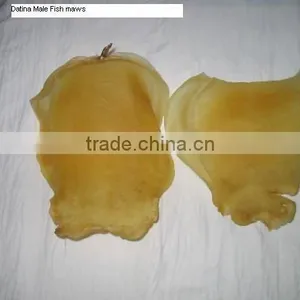 High Quality Dried Fish Maws From Bangladesh thumbnail-2