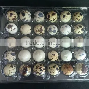 12 Pcs and 24 Pcs Quail Egg Tray /quail Egg Packing Box thumbnail-1
