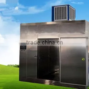 Frozen Meat Thawing Machine for Beef thumbnail-1