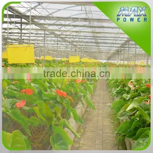 Galvanized Frame Circulation Fan EU Standard thumbnail-5