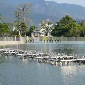 Large Scale Musical Dancing Fountain Project thumbnail-6