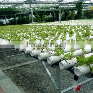 Customber Design Hydroponic System thumbnail-1