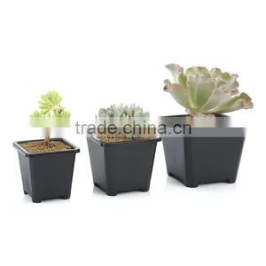 European Sqaure Pot thumbnail-1