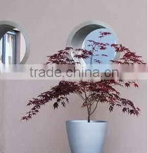Planter Garden Clay Pots White Fiber Pot thumbnail-1