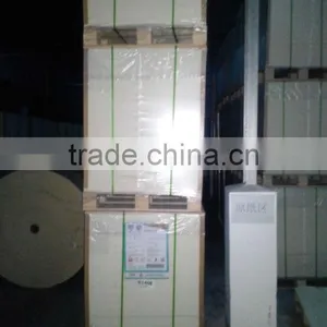 Food Grade AA PE Coated Cup Paper Board For Paper Cup thumbnail-1