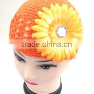 Gerbera Daisy Flower thumbnail-1