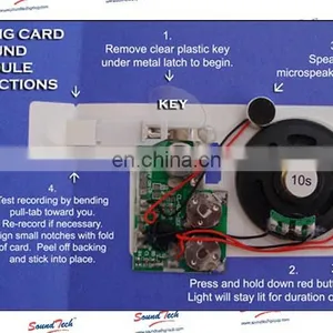 Sound Recording Devices for Greeting Cards thumbnail-5