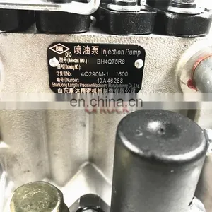 Genuine Kangda Diesel Fuel Injection Pump 4Q290 BH4Q75R8 thumbnail-7