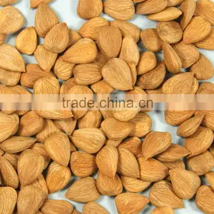 Apricot Nuts, Kernel thumbnail-1