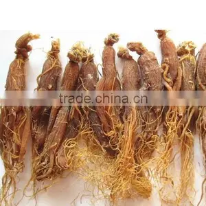 Natue Body Tonic Herb Red Ginseng Root / Panax Ginseng / Ninjin With Tail thumbnail-1