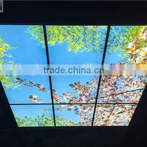 2015 Led Sky Ceiling Panel Blossom Image thumbnail-2