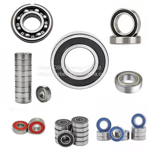 DSR Bearing NSK Koyo Timken NTN NACHI-Deep Groove Ball Bearing/Taper Roller Bearing/Spherical Bearing/Cylindrical Bearing/Angular Contact Ball Bearing/Provide OEM thumbnail-2