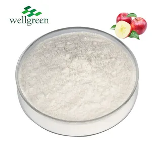 FREE SAMPLE Wellgreen Source Factory Supply Bulk Stock 5% 8% 10% Apple Cider Vinegar Powder thumbnail-1