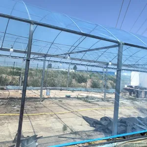 4MIL Agriculture Plastic Greenhouse PE PO Film Clear Greenhouse Cover thumbnail-5