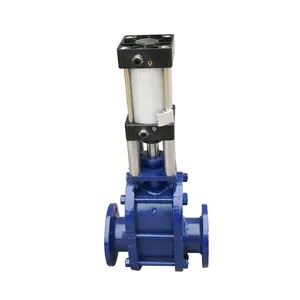 High Quality Double Plate Gate Valve From the Factory thumbnail-1