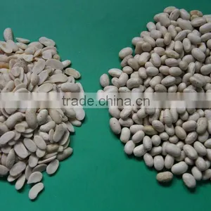 High Quality Bean Skin Peeling Machine/soybean Skin Removing Machine for Sale thumbnail-1
