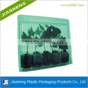 Herb Plants Clamshell thumbnail-1