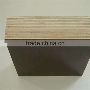 Construction Usage Poplar/Hardwood/Combi Core 18mm Film Faced Plywood thumbnail-3