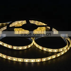 Festalight 2016 Outdoor 12V 60 Leds Strip Light 5050 thumbnail-3
