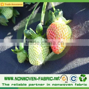Agriculture Nonwoven Fabric for Weed Control thumbnail-5