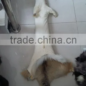 Real Silver Fur Skin / Natural Fox Fur Skin / Tanned Red Fox Fur Skin For Coat Quality Choice thumbnail-6