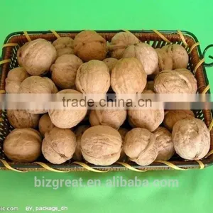 Supply With Chinese Bulk Walnuts in Shell for Sales thumbnail-5