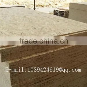 18mm E1,E2,E3 Osb Boards Made in Linyi China thumbnail-5