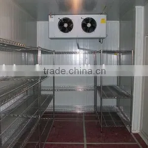 -20 Cold Room for Vaccine and Medicines / Refrigerator Cold Room / Frozen Cold Room thumbnail-1