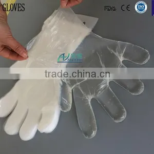 100 x P.E. TRANSPARENT POLY GLOVES (SIZE: M) thumbnail-4