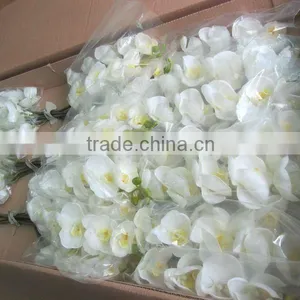 Single Real Touch Silk Phalaenopsis thumbnail-1