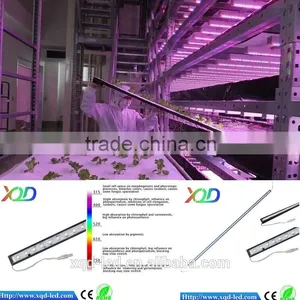 Shenzhen XQD 2015 Power Greehouse XQD Professional 12W Led Grow Light thumbnail-4
