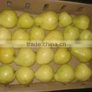 Fresh Guava thumbnail-1