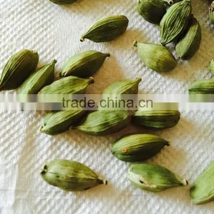 Cardamom thumbnail-2