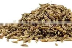 Indian Spices - Indian Origin Cumin thumbnail-4