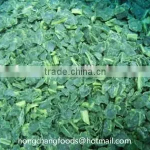 China High Quality BQF Frozen Spinach Block thumbnail-3