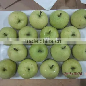 Chinese Gold Pear,round Pear thumbnail-1